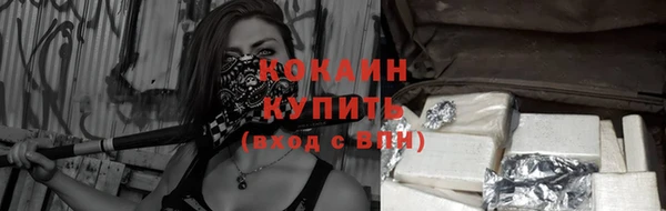 гашик Покачи