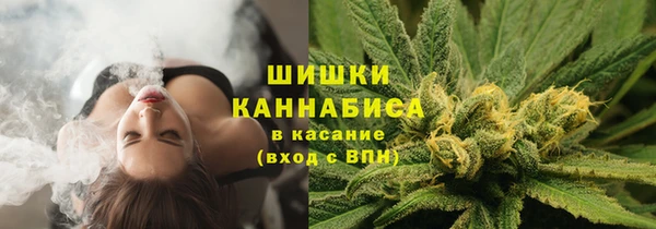 гашик Покачи